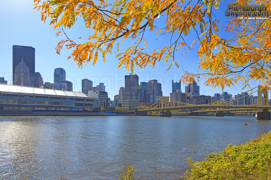 Orange and Yellow leaves along the Allegheny River