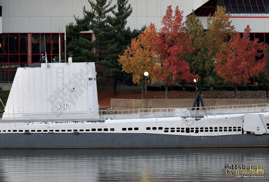 Changing trees complement the USS Requin